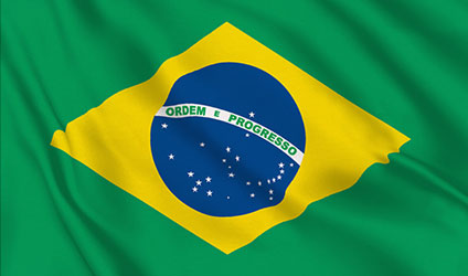 Brezilya - Bolivya Sektörel Ticaret Heyeti
