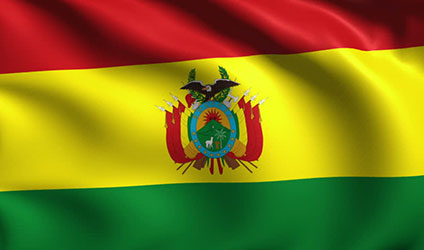 Brezilya - Bolivya Sektörel Ticaret Heyeti